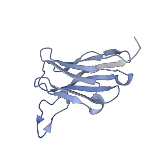 29704_8g3m_C_v1-2
N2 neuraminidase of A/Tanzania/205/2010 H3N2 in complex with 3 FNI9 Fab molecules