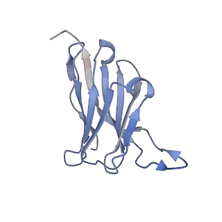 29704_8g3m_E_v1-2
N2 neuraminidase of A/Tanzania/205/2010 H3N2 in complex with 3 FNI9 Fab molecules