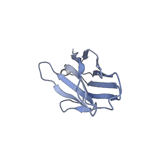 29704_8g3m_F_v1-2
N2 neuraminidase of A/Tanzania/205/2010 H3N2 in complex with 3 FNI9 Fab molecules