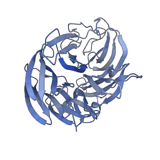 29704_8g3m_G_v1-2
N2 neuraminidase of A/Tanzania/205/2010 H3N2 in complex with 3 FNI9 Fab molecules