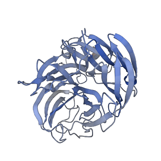 29704_8g3m_K_v1-2
N2 neuraminidase of A/Tanzania/205/2010 H3N2 in complex with 3 FNI9 Fab molecules