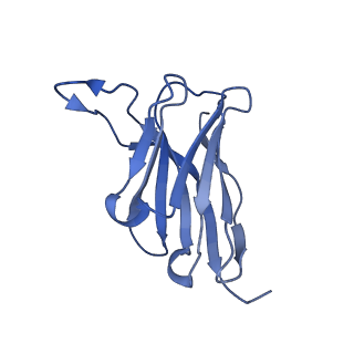 29705_8g3n_A_v1-2
N2 neuraminidase of A/Tanzania/205/2010 H3N2 in complex with 4 FNI9 Fab molecules