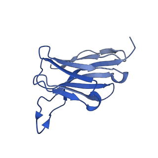 29705_8g3n_B_v1-2
N2 neuraminidase of A/Tanzania/205/2010 H3N2 in complex with 4 FNI9 Fab molecules