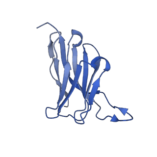 29705_8g3n_C_v1-2
N2 neuraminidase of A/Tanzania/205/2010 H3N2 in complex with 4 FNI9 Fab molecules