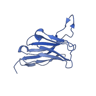 29705_8g3n_E_v1-2
N2 neuraminidase of A/Tanzania/205/2010 H3N2 in complex with 4 FNI9 Fab molecules
