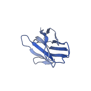 29705_8g3n_I_v1-2
N2 neuraminidase of A/Tanzania/205/2010 H3N2 in complex with 4 FNI9 Fab molecules