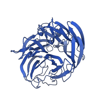 29705_8g3n_J_v1-2
N2 neuraminidase of A/Tanzania/205/2010 H3N2 in complex with 4 FNI9 Fab molecules