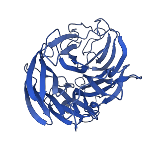 29705_8g3n_L_v1-2
N2 neuraminidase of A/Tanzania/205/2010 H3N2 in complex with 4 FNI9 Fab molecules