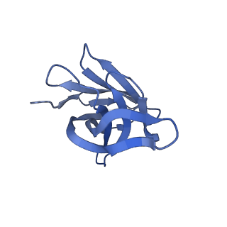 29706_8g3o_A_v1-2
N2 neuraminidase of A/Hong_Kong/2671/2019 in complex with 3 FNI9 Fab molecules