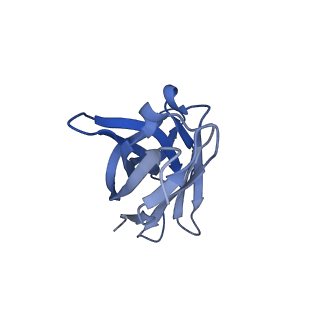 29706_8g3o_C_v1-2
N2 neuraminidase of A/Hong_Kong/2671/2019 in complex with 3 FNI9 Fab molecules