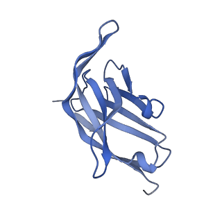 29706_8g3o_E_v1-2
N2 neuraminidase of A/Hong_Kong/2671/2019 in complex with 3 FNI9 Fab molecules