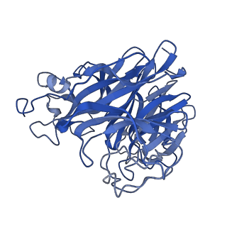 29706_8g3o_H_v1-2
N2 neuraminidase of A/Hong_Kong/2671/2019 in complex with 3 FNI9 Fab molecules