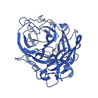 29707_8g3p_A_v1-2
N2 neuraminidase of A/Hong_Kong/2671/2019 in complex with 4 FNI9 Fab molecules