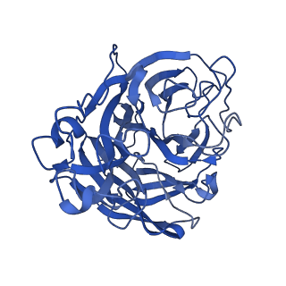 29707_8g3p_B_v1-2
N2 neuraminidase of A/Hong_Kong/2671/2019 in complex with 4 FNI9 Fab molecules