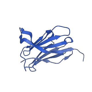 29707_8g3p_C_v1-2
N2 neuraminidase of A/Hong_Kong/2671/2019 in complex with 4 FNI9 Fab molecules