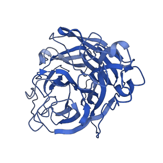 29707_8g3p_D_v1-2
N2 neuraminidase of A/Hong_Kong/2671/2019 in complex with 4 FNI9 Fab molecules