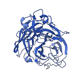 29707_8g3p_E_v1-2
N2 neuraminidase of A/Hong_Kong/2671/2019 in complex with 4 FNI9 Fab molecules