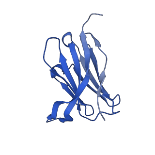 29707_8g3p_F_v1-2
N2 neuraminidase of A/Hong_Kong/2671/2019 in complex with 4 FNI9 Fab molecules