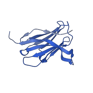 29707_8g3p_G_v1-2
N2 neuraminidase of A/Hong_Kong/2671/2019 in complex with 4 FNI9 Fab molecules
