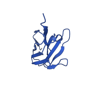 29707_8g3p_J_v1-2
N2 neuraminidase of A/Hong_Kong/2671/2019 in complex with 4 FNI9 Fab molecules