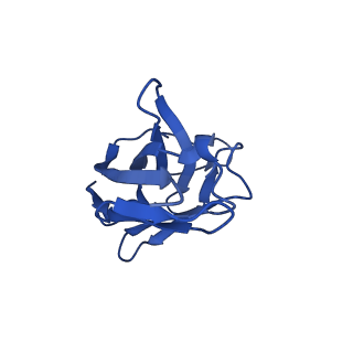 29712_8g40_A_v1-2
N2 neuraminidase of A/Hong_Kong/2671/2019 in complex with 3 FNI19 Fab molecules