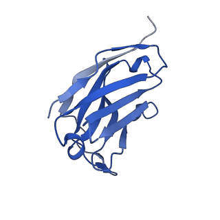 29712_8g40_B_v1-2
N2 neuraminidase of A/Hong_Kong/2671/2019 in complex with 3 FNI19 Fab molecules