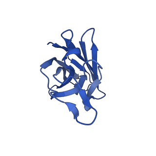 29712_8g40_C_v1-2
N2 neuraminidase of A/Hong_Kong/2671/2019 in complex with 3 FNI19 Fab molecules