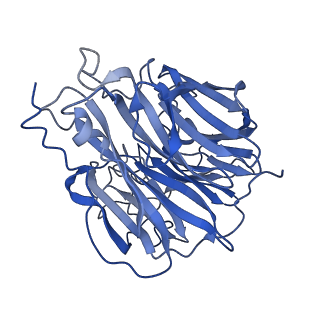29712_8g40_I_v1-2
N2 neuraminidase of A/Hong_Kong/2671/2019 in complex with 3 FNI19 Fab molecules