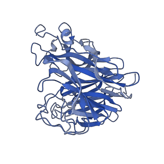29712_8g40_J_v1-2
N2 neuraminidase of A/Hong_Kong/2671/2019 in complex with 3 FNI19 Fab molecules