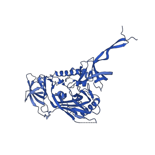 29725_8g4m_I_v1-1
Vaccine-elicited human antibody 2C06 in complex with HIV-1 envelope trimer BG505 DS-SOSIP