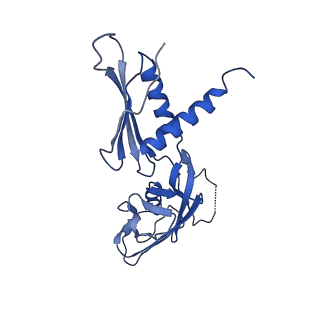 29732_8g4w_G_v1-1
Cryo-EM consensus structure of Escherichia coli que-PEC (paused elongation complex) RNA Polymerase plus preQ1 ligand