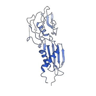 29732_8g4w_H_v1-1
Cryo-EM consensus structure of Escherichia coli que-PEC (paused elongation complex) RNA Polymerase plus preQ1 ligand