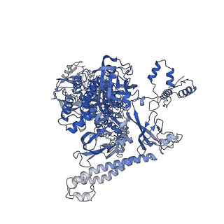 29732_8g4w_I_v1-1
Cryo-EM consensus structure of Escherichia coli que-PEC (paused elongation complex) RNA Polymerase plus preQ1 ligand