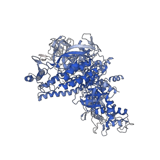 29732_8g4w_J_v1-1
Cryo-EM consensus structure of Escherichia coli que-PEC (paused elongation complex) RNA Polymerase plus preQ1 ligand