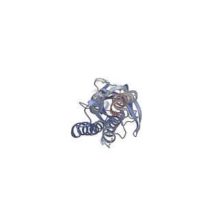 29733_8g4x_D_v1-2
Native GABA-A receptor from the mouse brain, meta-alpha1-alpha3-beta2-gamma2 subtype, in complex with GABA and allopregnanolone