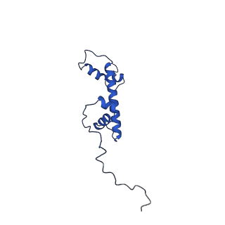 29735_8g57_G_v1-0
Structure of nucleosome-bound Sirtuin 6 deacetylase