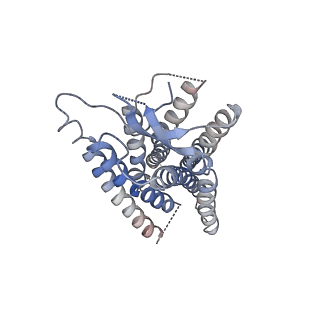 29736_8g59_R_v1-2
Cryo-EM structure of the TUG891 bound GPR120-Giq complex