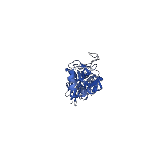 29737_8g5a_A_v1-0
X-31 hemagglutinin in complex with FL-1061 Fab