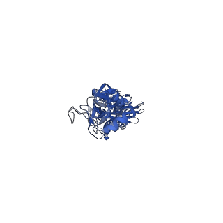 29737_8g5a_B_v1-0
X-31 hemagglutinin in complex with FL-1061 Fab