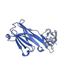 29737_8g5a_H_v1-0
X-31 hemagglutinin in complex with FL-1061 Fab