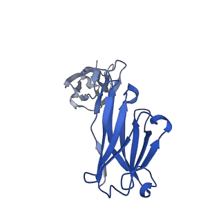 29737_8g5a_I_v1-0
X-31 hemagglutinin in complex with FL-1061 Fab