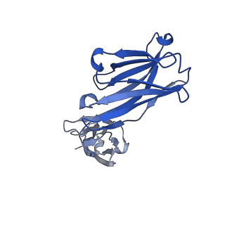 29737_8g5a_J_v1-0
X-31 hemagglutinin in complex with FL-1061 Fab