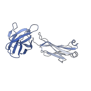 29737_8g5a_L_v1-0
X-31 hemagglutinin in complex with FL-1061 Fab