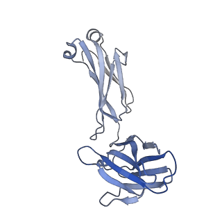 29737_8g5a_M_v1-0
X-31 hemagglutinin in complex with FL-1061 Fab