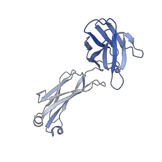 29737_8g5a_N_v1-0
X-31 hemagglutinin in complex with FL-1061 Fab