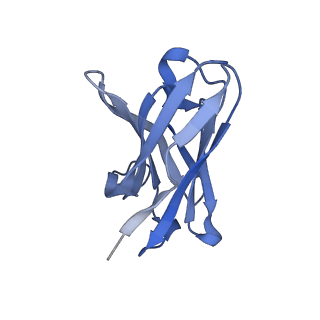 29738_8g5b_H_v1-0
Influenza A H3N2 X-31 Hemagglutinin in complex with FL-1061