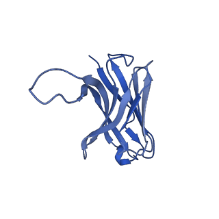 29738_8g5b_J_v1-0
Influenza A H3N2 X-31 Hemagglutinin in complex with FL-1061