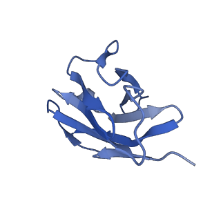 29738_8g5b_N_v1-0
Influenza A H3N2 X-31 Hemagglutinin in complex with FL-1061