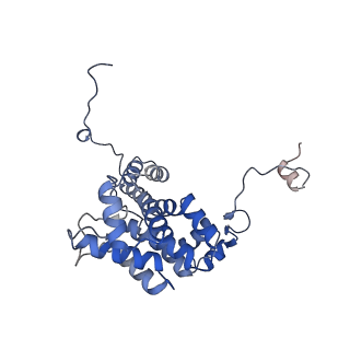 29740_8g5d_A_v1-0
Structure of ACLY-D1026A-products, local refinement of ASH domain