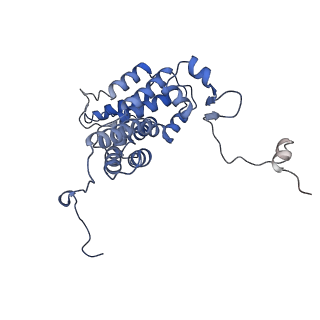 29740_8g5d_B_v1-0
Structure of ACLY-D1026A-products, local refinement of ASH domain